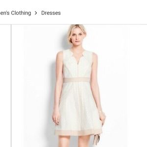Ann Taylor lace off white dress 8T